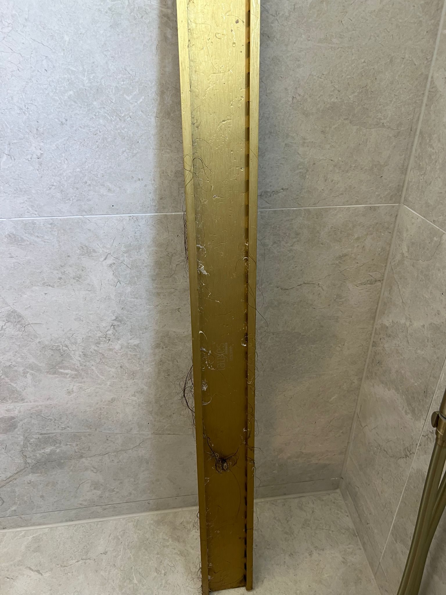Grimy shower drain before a Care for a Clean service